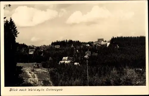 Ak Waldidylle Altenberg im Erzgebirge, Ortsansicht