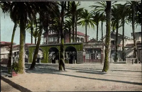 Ak Alger Algerien, L'Oasis et le Casino, Front, Palmen, Platz