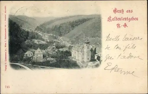 Ak Kaltenleutgeben in Niederösterreich, Panorama