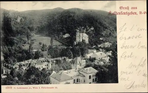 Ak Kaltenleutgeben in Niederösterreich, Teilansicht