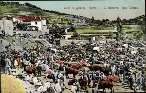 Ak Las Palmas de Gran Canaria Kanarische Inseln, Feria de ganado
