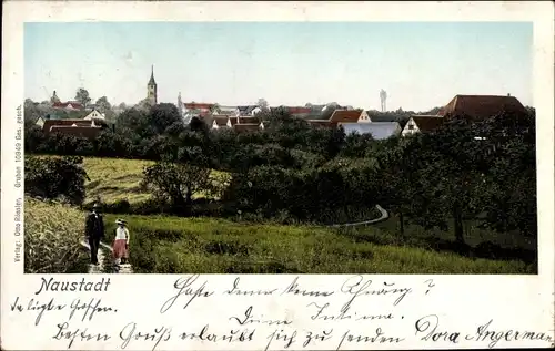 Ak Naustadt Scharfenberg Klipphausen in Sachsen, Teilansicht