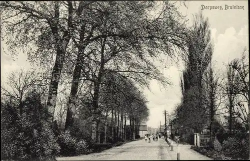 Ak Bruinisse Zeeland, Dorpsweg