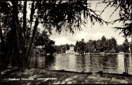 Ak Seifhennersdorf im Landkreis Görlitz, Waldbad, Schwimmbecken