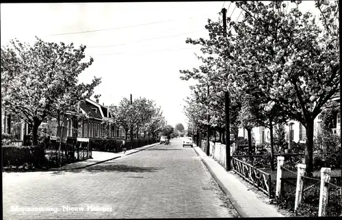 Ak Nieuw Helvoet Hellevoetsluis Südholland, Moriaanseweg