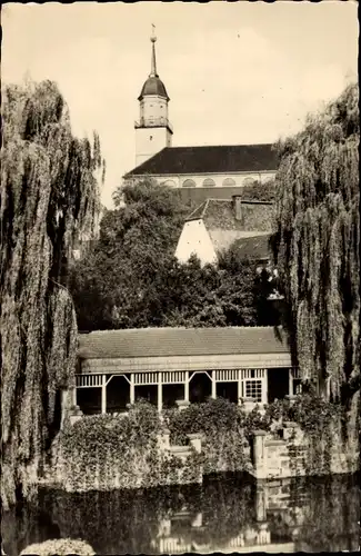 Ak Bischofswerda in Sachsen, Partie am Mühlteich