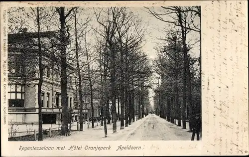 Ak Apeldoorn Gelderland, Regentesselaan met Hôtel Oranjepark