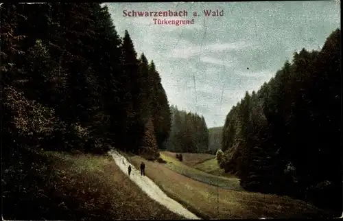 Ak Schwarzenbach am Wald Oberfranken, Türkengrund
