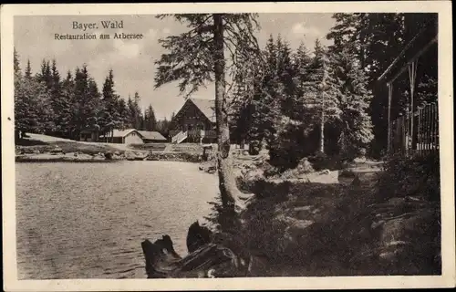 Ak Bayerisch Eisenstein in Niederbayern, Restauration am Arbersee