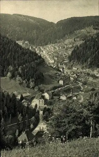 Ak Triberg Schwarzwald, Blick auf den Ort vom Hohnen