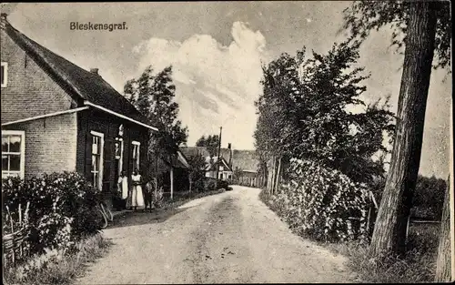 Ak Bleskensgraaf Molenlanden Südholland, Straßenpartie, Wohnhäuser