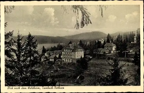 Ak Tambach Dietharz in Thüringen, Waldheim