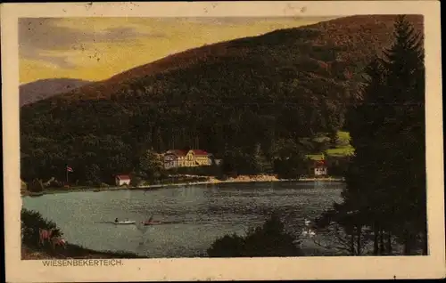 Ak Wiesenbek Bad Lauterberg im Harz, Wiesenbeker Teich