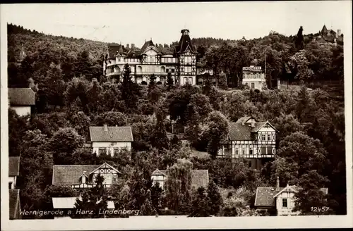 Ak Wernigerode im Harz, Lindenberg