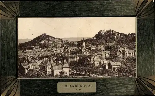 Ak Blankenburg am Harz, Panorama vom Ort