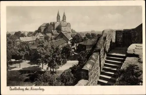 Ak Quedlinburg im Harz, Am Münzenberg