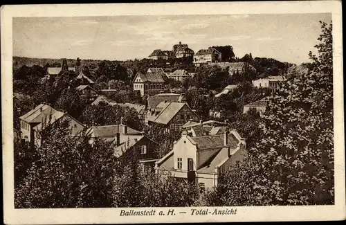 Ak Ballenstedt im Harz, Totalansicht