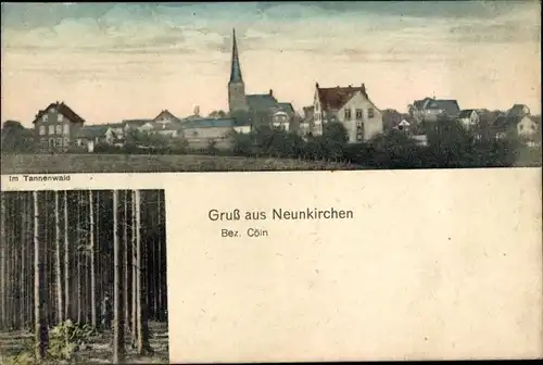 Ak Neunkirchen Seelscheid im Rhein Sieg Kreis, Totalansicht, Tannenwald