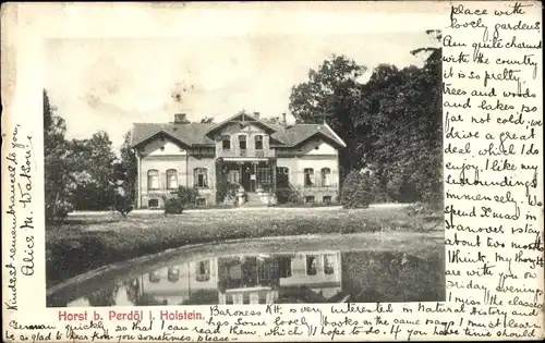 Ak Horst in Holstein, Villa, Teich