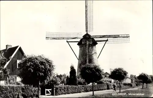 Ak Geldrop Nordbrabant Niederlande, Molenakker