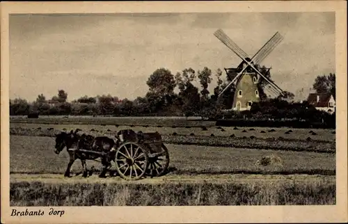 Ak Nordbrabant Niederlande, Brabants dorp, Molen, Fuhrwerk