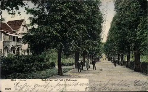 Ak Bad Eilsen Niedersachsen, Harl Allee, Villa Valtemate