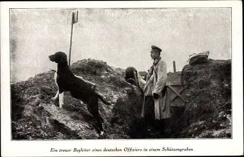 Ak Deutscher Offizier mit seinem Hund im Schützengraben, I. WK