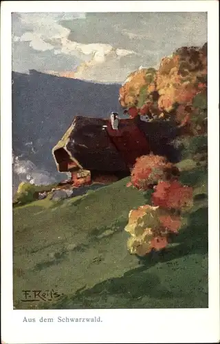 Künstler Ak Reiss, F., Schwarzwald, Panorama mit Haus