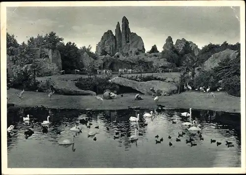 Ak Hamburg Eimsbüttel Stellingen, Carl Hagenbecks Tierpark, Gesamtansicht des Tierparadieses