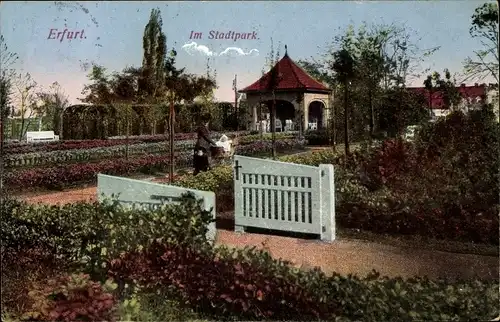 Ak Erfurt in Thüringen, Im Stadtpark