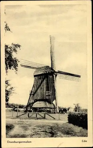 Ak Ede Gelderland Niederlande, Doesburger molen