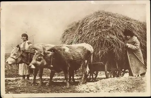 Ak Rumänien, Rumänische Bauern, Heu, Fuhrwerk, Rind
