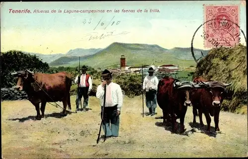 Ak Tenerife Teneriffa Kanarische Inseln Spanien, Afueras de la Laguna campesinos en las faenas