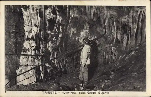 Ak Triest Trieste Friuli Venezia Giulia, Grotta Gigante