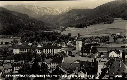 Ak Mürzzuschlag Steiermark, Panorama, Schneealpe