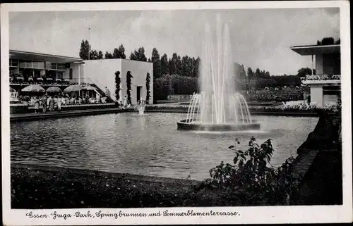 Ak Essen im Ruhrgebiet, Gruga Park, Springbrunnen und Sommerblumenterrasse