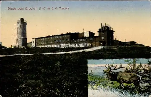 Ak Brocken Nationalpark Harz, Brockenhotel, Brockenturm, Hirsch