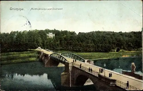 Ak Grimma in Sachsen, Muldenbrücke und Stadtwald