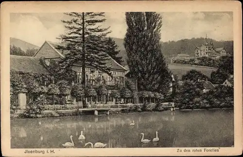 Ak Ilsenburg am Nordharz, Gastwirtschaft Zu den roten Forellen