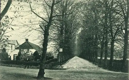 Ak Aurich in Ostfriesland, Allee, Wohnhaus