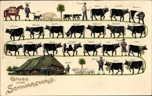 Präge Ak Alpenfahrt, Kühe, Bauernhaus, Ziegen, Schweine, Hund, Pferd, Schwarzwald