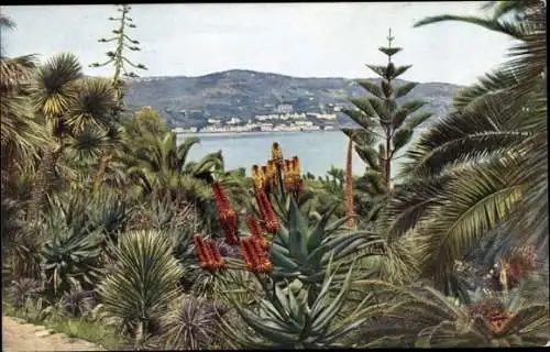 Ak Menton Alpes Maritimes, Une Echappee sur Menton