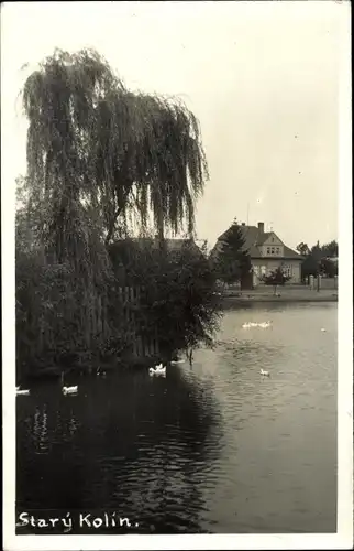 Ak Kolín Köln an der Elbe Mittelböhmen, Blick auf den Ort, Wasserpartie, Enten, Haus