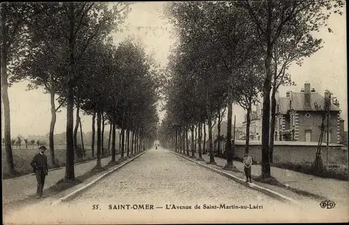 Ak Saint Omer Pas de Calais, L'Avenue de Saint Martin au Laeri