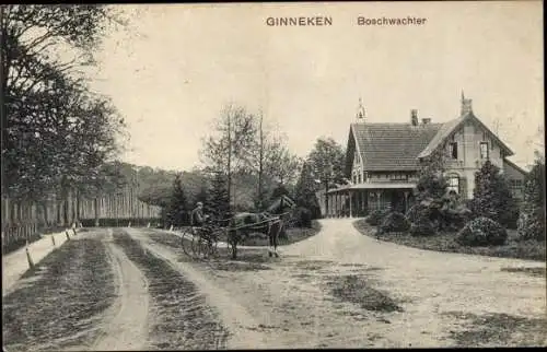 Ak Ginneken Nordbrabant, Boschwachter, Kutsche, Pferd