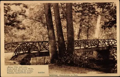 Ak Weimar in Thüringen, Naturbrücke im Park