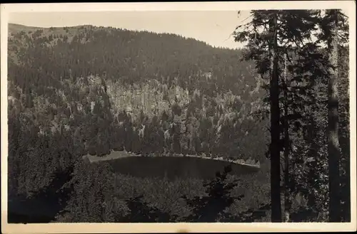 Ak Feldberg im Schwarzwald, Feldsee vom Ernst Maurer Weg