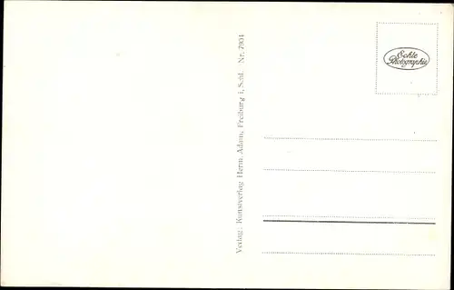 Ak Wambierzyce Albendorf Schlesien, Wallfahrtsbasilika