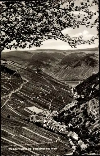 Ak Steeg Bacharach am Rhein, Panorama