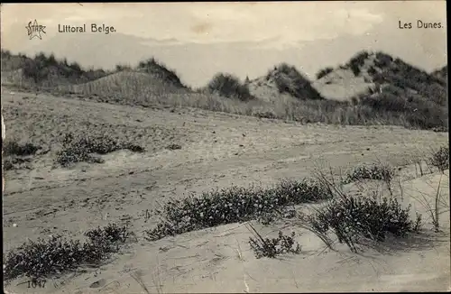 Ak Westflandern, Littoral Belge, Les Dunes